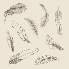 set of feather - 132208741