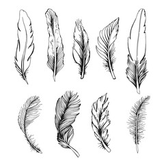 set of feather - 132208746