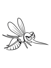 Mosquito wittily insect