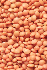 Red lentil background