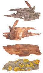 Bark tree isolated on white background. Set