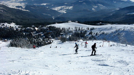 Fototapeta na wymiar Skiers on snowy slope