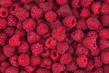 Fresh raspberries background closeup photo.