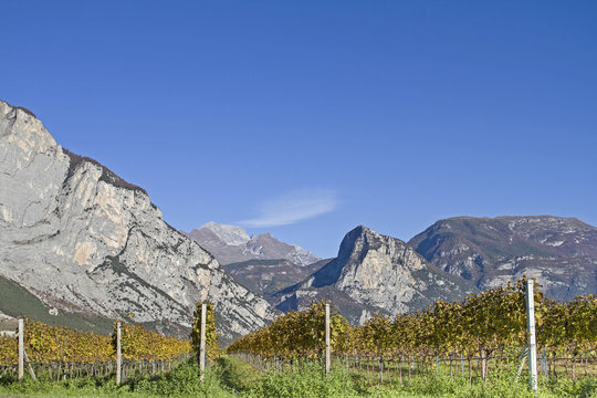 Herbsttag Im Trentino