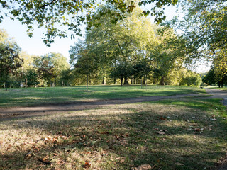 Empty park in the morning