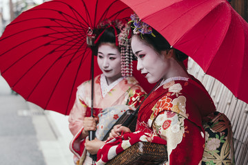  Maiko geishas walking on a street of Gion - obrazy, fototapety, plakaty
