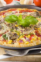 freshly baked pizza from the oven