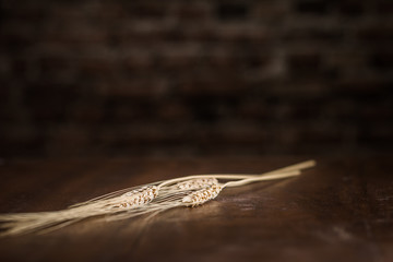 Wheat Spikes