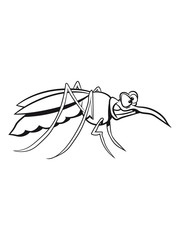 Mosquito mosquito witty