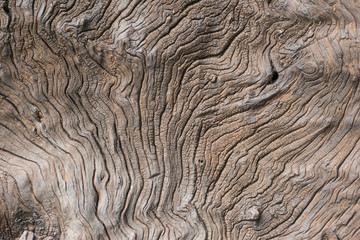 old wood texture