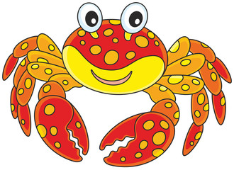 Red spotted crab