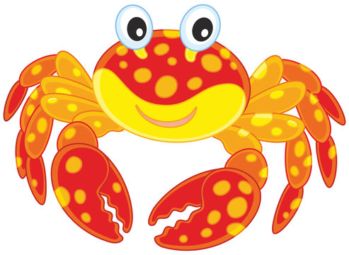 Red spotted crab