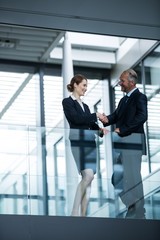 Businessman shaking hands with colleague