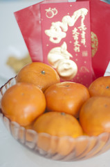 Happy Chinese New Year 2017. 