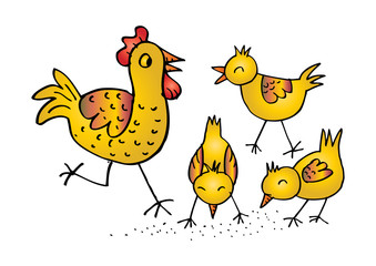 Chicken family Funny cartoon 