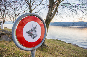 No Dogs