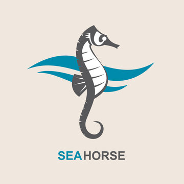 image of sea horse and ocean waves