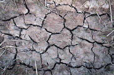 Cracked and barren ground,Dry soil textured background