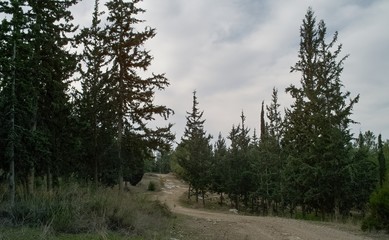 Ben Shemen Forest, Israel