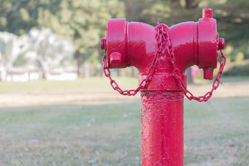 Red fire hydrant