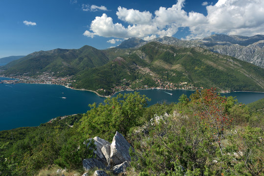 Kotor
