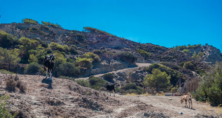 Rhodes / Lindos, Gr&egrave;ce.
