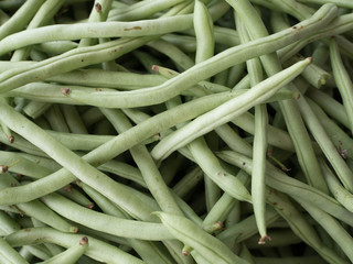 green bean