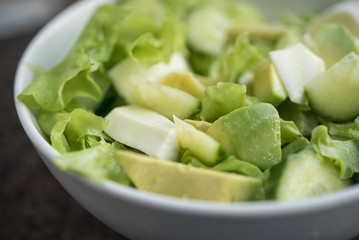 plate with fresh green salad