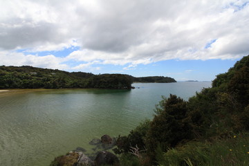 Fototapeta na wymiar New Zealand - Stewart Island