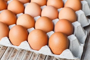 Egg, Chicken Egg in box selective focus