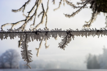 Frozen fence 