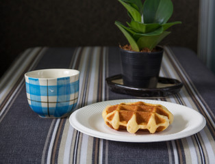 Homemade waffle on plate