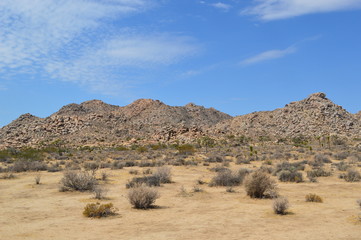 Fototapeta na wymiar Desert in the USA