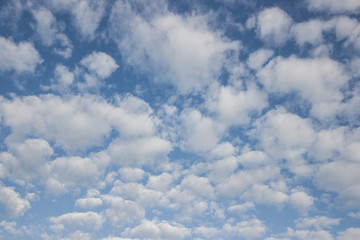 transparent sky  with clouds and atmospheric afternoon