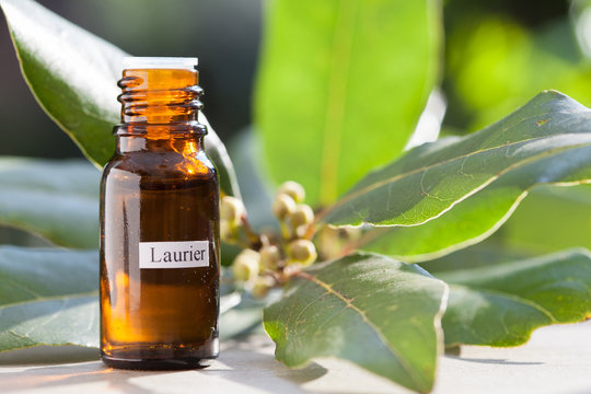 flacon d'huile essentielle de laurier avec des feuilles de laurier