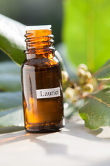flacon d'huile essentielle de laurier avec des feuilles de laurier