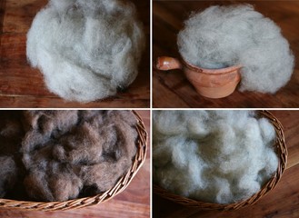 Natural sheep wool