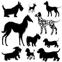 Set of of dogs silhouettes - scottish terrier, dalmatian, dachsh