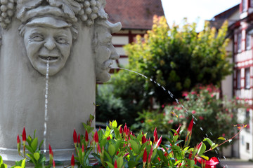 Brunnen