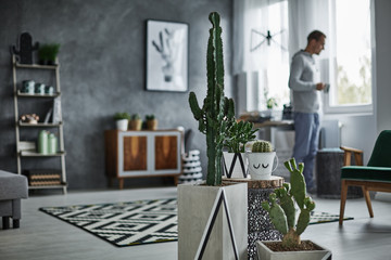 Decorative cactus in simple pot