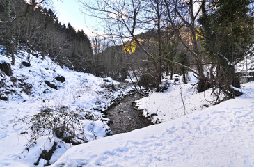 Fototapeta na wymiar snowy fir forest at Pavliani village near to Oeta mountain Phthiotis Central Greece