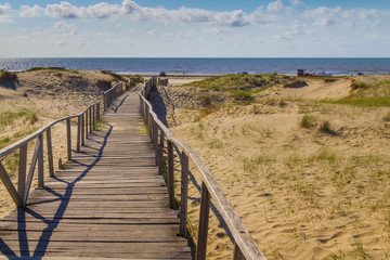 Fototapeta premium Wood bridge over dunes, vegetation and ocean in background