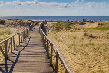 Wood bridge over dunes, vegetation and ocean in background
