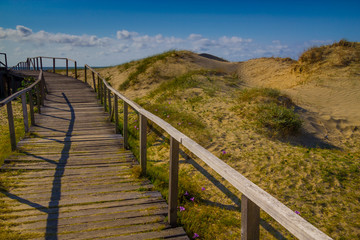 Fototapeta na wymiar Wood bridge over dunes, vegetation and ocean in background