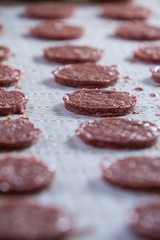 Raw meat patties on assembly line