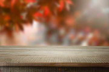 Wooden empty and blur autumn forest background.