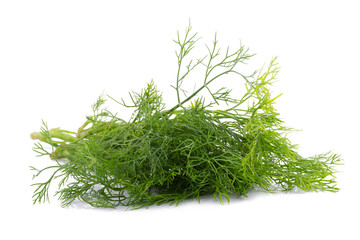 fresh dill on white background.
