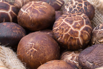 Fresh shiitake mushroom in a basket.