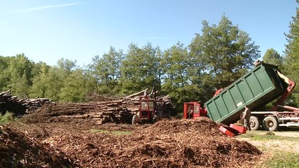 Cippatura del legno