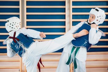 Sparing in tae kwon do